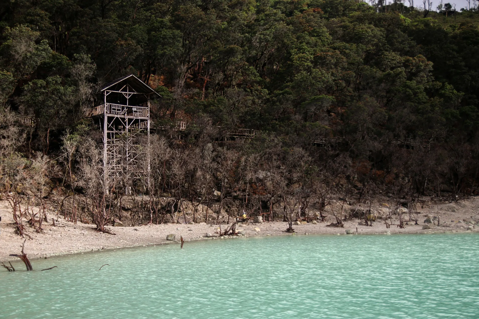 Kawah Putih crater lake, Ciwidey. Pexels.
